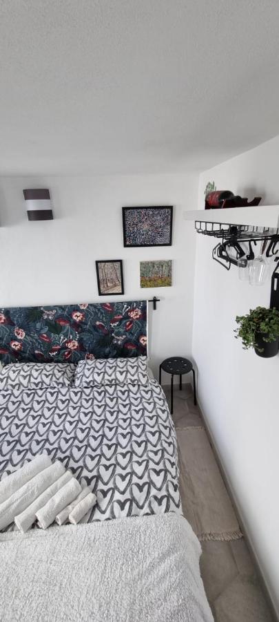 Garden Room Pisa Dış mekan fotoğraf